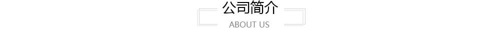公司简介